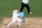 Ashes 2023 ENG vs AUS Joe Root Alex Carey