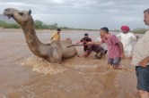 Barmer News