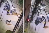 Delhi couple trying to rob, delhi robbery, delhi viral video, delhi robbery video, delhi robbery viral video, delhi news, delhi police