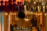 Animal Pre-Teaser
