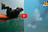 Indian Coast Guard, Smuggled gold, Tamil Nadu News, Mannar News
