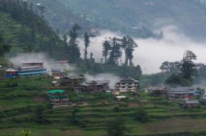 Jibhi