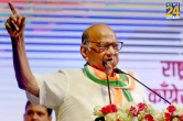 sharad pawar in karad, NCP Chief, ajit pawar, maharashtra politics, Sharad Pawar public meeting