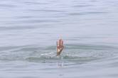 Greece ship capsize, Greece ship accident, Greece ship capsize death toll, Greece ship capsize news, Greece ship capsize migrants death, ship capsizes in Greece