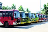 free bus travel