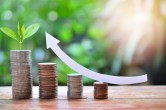 mutual funds