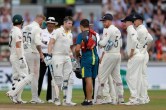 Ashes 2023 Pitch Siding
