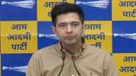 GNCDT Bill, MP Raghav Chadda Slams Bjp For Bill