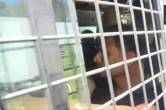 nia court, pfi members guilty, kerala news, kerala professor, hand chopping case, Kerala Professor Assault Case