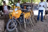 Patna E Challan