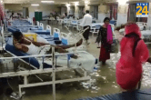 Rajasthan Rain, waterlogging in Rajasthan, SMS Hospital