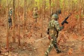 Sukma forest