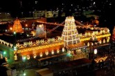 TIRUPATI Mandir Laddu