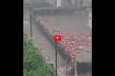 Viral Video, Gujarat Flood, Gas cylinders flow, Navsari Viral Video, Navsari Viral News
