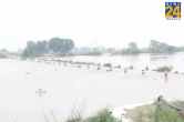 Weather Alert In Rajasthan