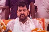 Wrestlers vs Brij Bhushan, Brij Bhushan Sharan Singh, Delhi Police, WFI