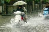 mp monsoon update