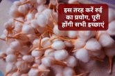 Pandit Suresh Pandey, Jyotish tips, upay for money, jyotish ke upay