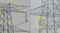 Chhattisgarh news, girl climbs 80 feet tower, boy climbs 80 feet tower, Korba news, Chhattisgarh latest news, boyfriend, girl, 80-feet-high tower, high-tension power line