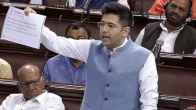 Delhi Services Bill, Raghav Chadha