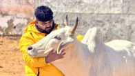 Monu Manesar, Bajrang Dal, Haryana Communal Clashesh, Nuh News