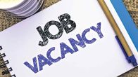 Raipur Job for Handicapped