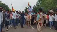 Rajasthan News, Kirodilal Meena meeting in Dausa