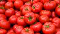 Unique Tomato News, Tomato Price Hike