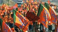 mp assembly election