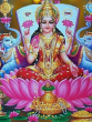 Tulsi Tips for money