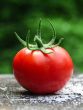 Disadvantages of eating tomatoes