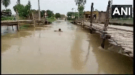 Moradabad Video, Moradabad Viral Video, Trending Video, UP News