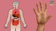what your fingers say about your health,what does long fingers on a woman mean sexually,length of fingers and intelligence,what your fingernails say about your health,ring finger longer than index finger female personality,types of fingers and personality,what your hands say about your health,what your fingers say about your future