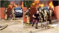 man saves his dog
