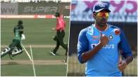 cricket news