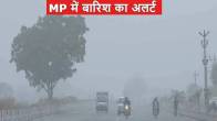 mp news