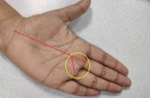 Palmistry, Palmistry, Money Profit, Luck Line, हस्तरेखा