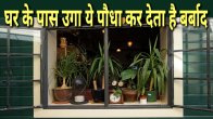 Jyotish tips, vastu tips, vastu dosha, astrology