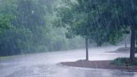 Weather Update Today