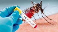 Dengue Control Campaign, Health Department, Dengue Control, Chhattisgarh Government, Chhattisgarh News, Raigarh News