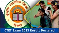 ctet exam