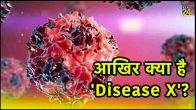 Disease X, Global health expert, Kate Bingham, Pandemic, Covid19 Vs Disease X