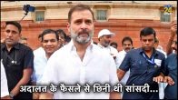 Rahul Gandhi, Supreme Court, Rahul Gandhi Parliament Membership, Lok Sabha
