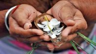 Pitru Paksha 2023