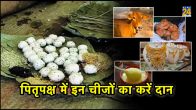 Pitru Paksha 2023