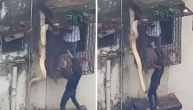 Python Hanging Window of Building In Thane