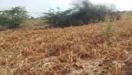 Rajasthan Weather Update