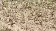 Rajasthan Weather Update, No Rain In rajasthan