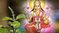 Tulsi Remedy
