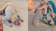 Watch Video, friendship, Lakhimpur Kheri Video, friendship Video, Viral Video, UP Video News